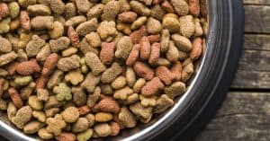 Best Dry Cat Food