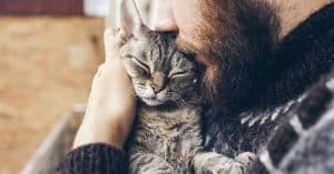 best urinary cat food