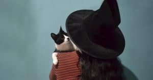 cat costumes